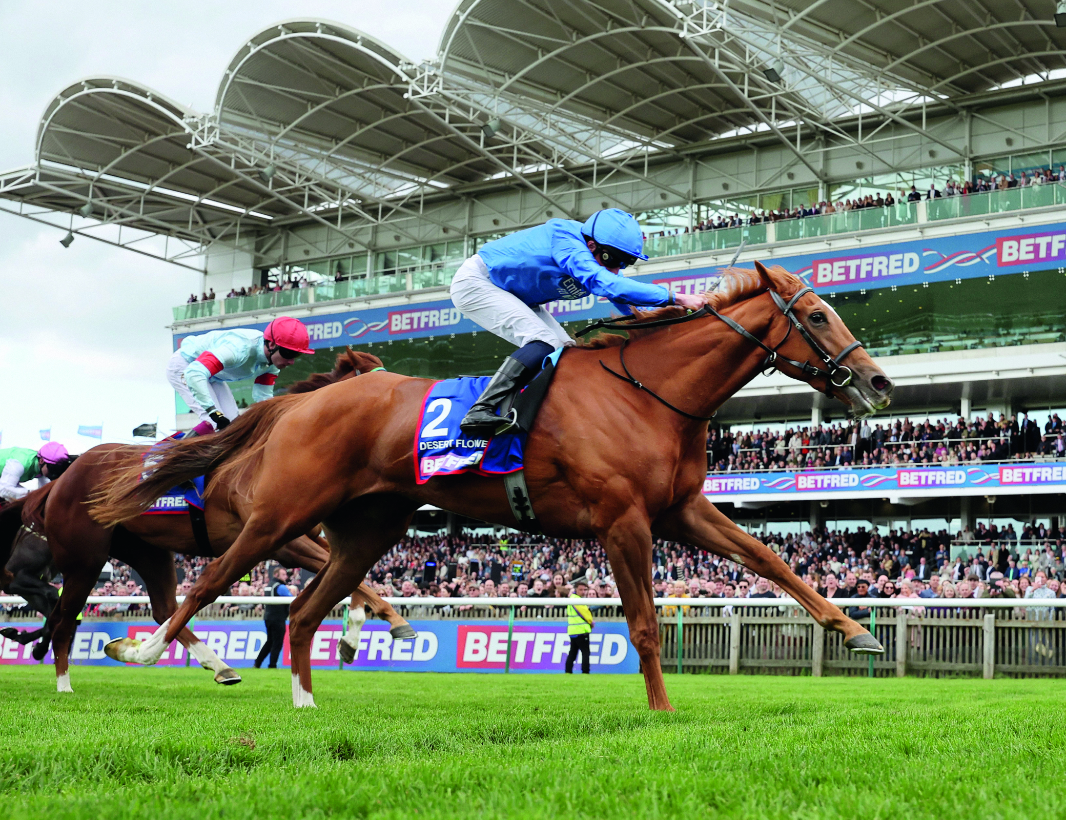 ゴドルフィン ダーレー ベスト Mサイズ 競馬 ゴドルフィン | Japan